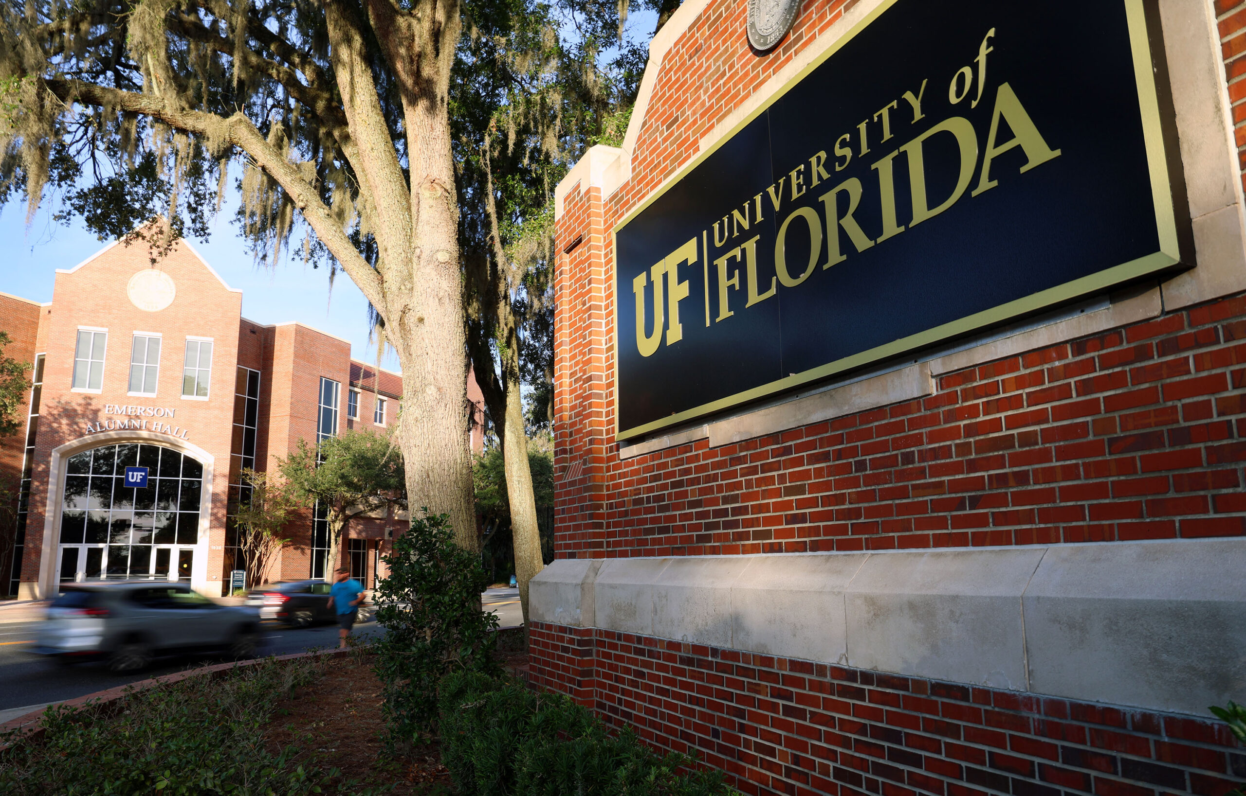 University of Florida Online Psychology Degree